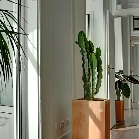 Prince De Luxo Maison d'hôtes Lisboa